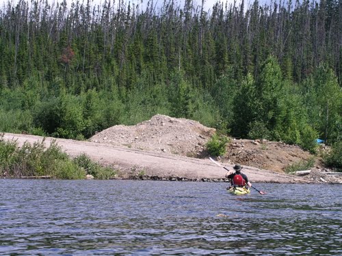 Logging Company Landing